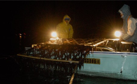 こだわりの技術で美味しいが続く！有明海の焼きのり 全型銀4帖（全型10枚分×4）吉野ヶ里町[FCO006]