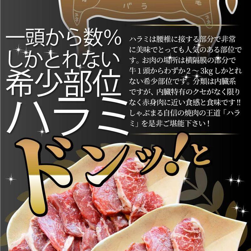 牛 ハラミ 焼肉 牛肉 メガ盛り バーベキュー用 (500g(250g×2))