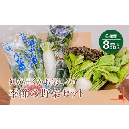 ふるさと納税 北海道産季節の野菜詰め合わせ 6種類8品  北海道恵庭市