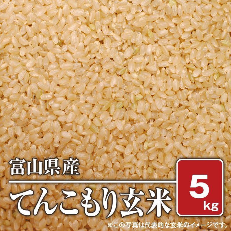 玄米富山県産 てんこもり（令和4年） (5kg)