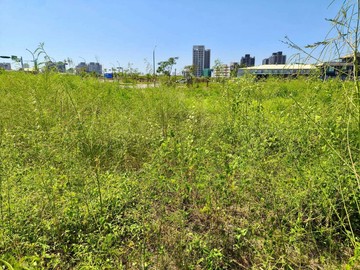 安南商60核心住四62坪自建豪宅基地【N052】｜台南市安南區草湖段