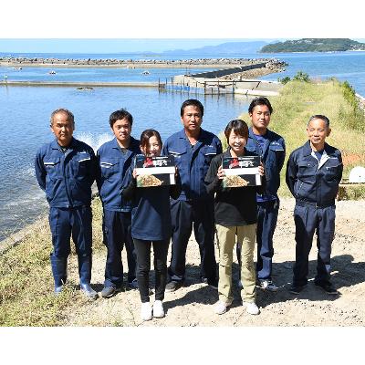 ふるさと納税 上天草市 上天草産　活き車えび1kg(34尾前後)