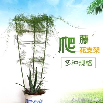 彩紀花支柱園藝支架鐵環花支架爬藤攀援藤蔓植物支架番茄花盆支架atf 全館特惠9折 台灣樂天市場 Line購物