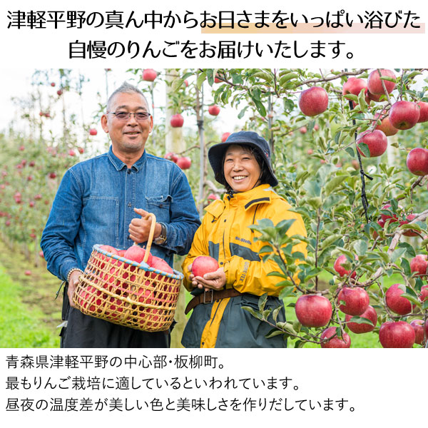 特選 無袋栽培葉とらずふじ 青森産りんご（約5kg）無化学肥料 桜庭りんご農園 直送につき代引・同梱不可 12月新商品