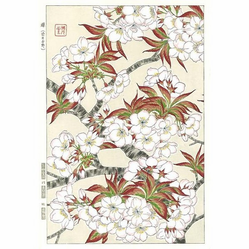 F0 桜 花版画 Flower Woodcut Cherry 通販 Lineポイント最大0 5 Get Lineショッピング