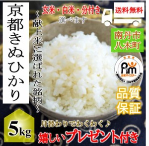 新米 お米 京都産 キヌヒカリ 令和5年産 5kg 玄米5kg 選べる精米 玄米 白米 分付き 嬉しいプレゼント付き 送料無料