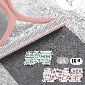 【台灣現貨】靜電刮毛器(兩色任選) / 除毛神器 衣物除毛器 寵物刮毛器 生活用品 日常用品