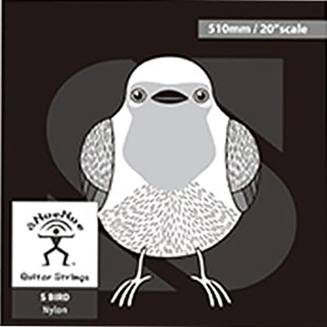 aNueNue AS-SB510 30吋古典吉他專用弦