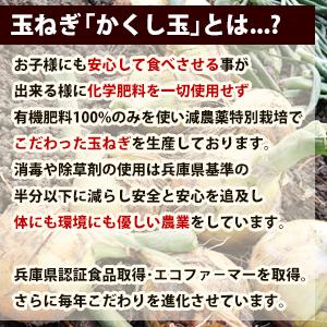 玉ねぎ 5kg 淡路島 減農薬 有機肥料栽培 かくし玉 今井ファ−ム たまねぎ タマネギ 玉葱 ＃かくし玉 5Ｋ＃