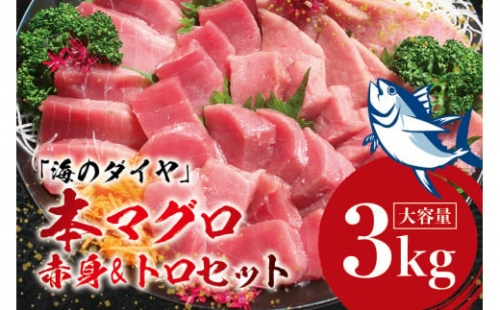 本マグロ（養殖）トロ＆赤身セット 3kg 高級 クロマグロ  中トロ 中とろ まぐろ マグロ 鮪 刺身 赤身 柵 じゃばらまぐろ 本マグロ 本鮪