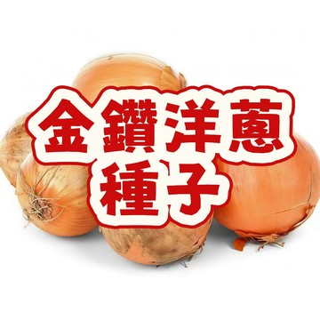 台灣現貨 金鑽洋蔥種子 珠蔥種子 蔥頭 紅蔥頭 蔬菜種子 家庭菜園 陽台盆栽 好種易活 當季新鮮 高發芽率 生鮮食材 自