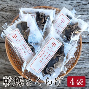 乾燥きくらげ 15g×4袋セット 主治医が見つかる診療所 紹介 ネコポス送料無料 宮崎県諸塚村産 お味噌汁 コリコリ 食感