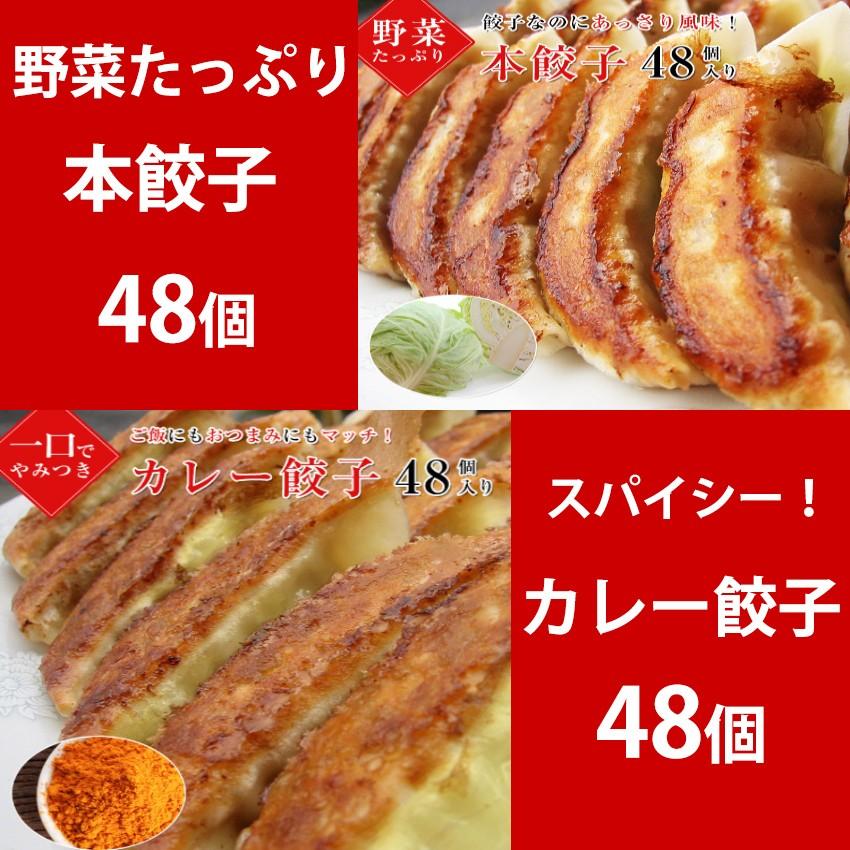 本餃子48個 カレー餃子48個 餃子 ぎょうざ 冷凍餃子 惣菜 点心 お取り寄せ グルメ ご家庭料理 ギフト 敬老の日