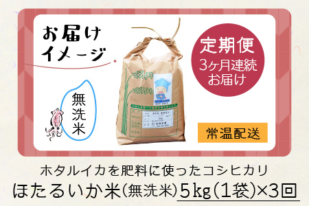 ほたるいか米（無洗米５kg）×3回 計15kg