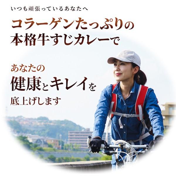 カレー レトルト 牛すじ ビーフカレー 中辛 国産 コラーゲン 送料無料 博多 長期保存 レトルトカレー レトルト食品 グルメ 牛すじカレー 200g×3パック メール便