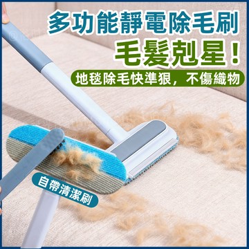 隔日到貨🔥多功能靜電除毛刷 雙向刷毛貓條刷 高效地毯沙發除毛神器 寵物除毛器 寵物粘毛 除毛清潔專家 貓毛清潔刷 除毛
