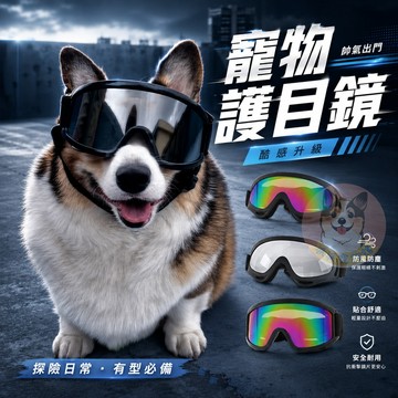 超帥😎 寵物護目鏡 狗狗護目鏡 狗狗眼鏡 寵物眼鏡 大狗寵物配件大型犬中型犬柯基薩摩耶邊牧黃金哈士奇防風防沙護目鏡鏡框