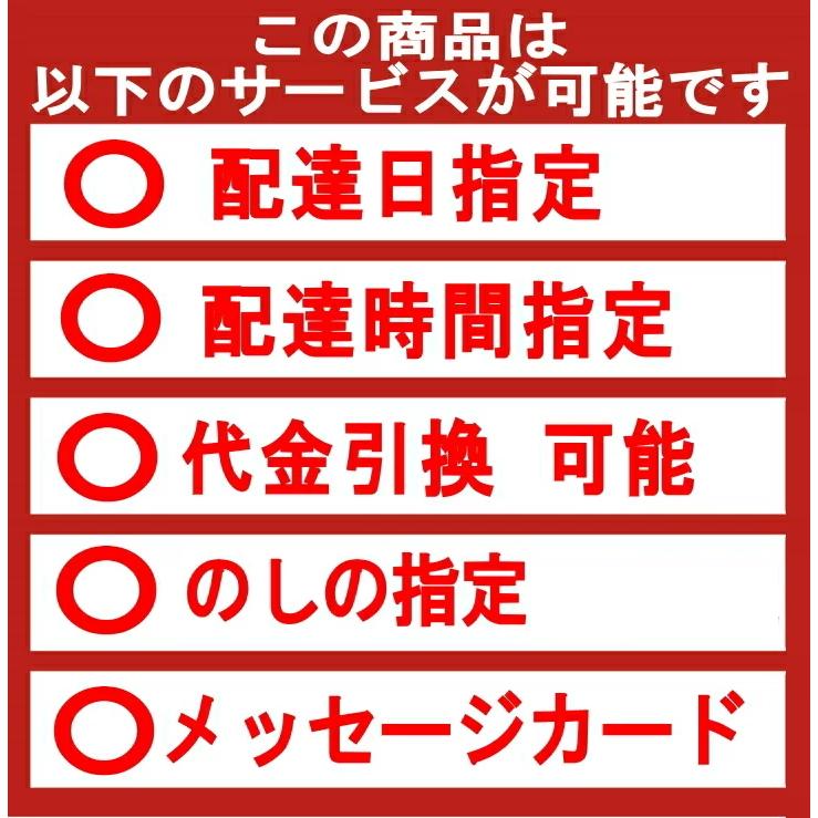 ※お届けは11月18日以降になります※　　伊藤ハム  伝承献呈ギフトセットGM-48