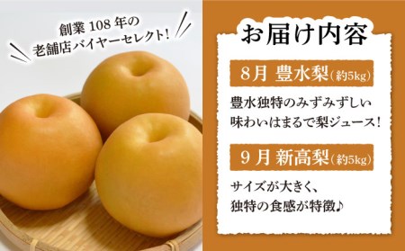 先行予約！南島原市産！梨 食べ比べ   豊水梨 新高梨   南島原市   ながいけ[SCH046]