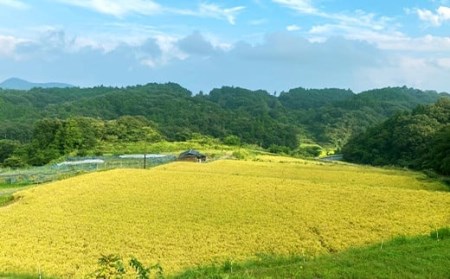 岡山県産あきたこまち2kg