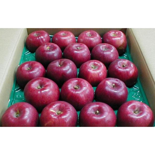 りんご 紅玉 こうぎょくりんご 約10kg 中玉 36〜40個入り 青森・岩手・長野産|アップルパイ リンゴジャム