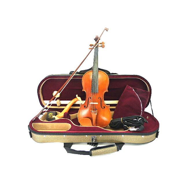 Drexcell Violin No.100 French Black TP