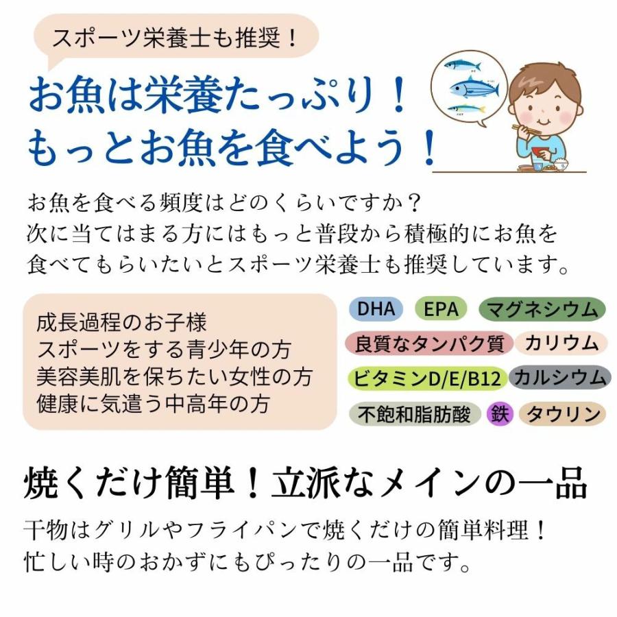 干物セット 高知県産 無添加 詰め合わせ 5種10枚 約1kg 定番 アジ サバ カマス 土佐清水 国産 産地直送 お歳暮 2023 ギフト