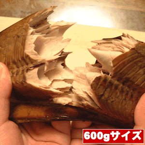 かつお生節（かつおなまり節（なまりぶし））［大サイズ※600g］かつおの燻製（薫製）。ご贈答・ギフトにお薦め。酒の肴に