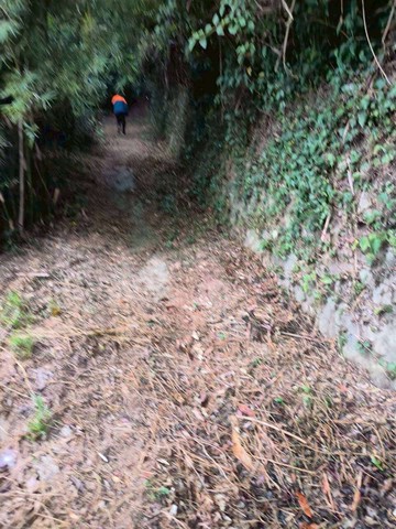 新埔鎮太平段兩筆農地出售｜新竹縣新埔鎮太平段