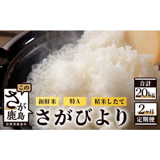 ふるさと納税 佐賀県 鹿島市 D-103佐賀県鹿島市産さがびより 白米１０kg定期便（２か月お届け）