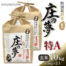 熊本県産 「庄の夢」 10kg (5kg×2) 玄米 森のくまさん
