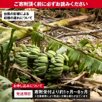 沖縄本島産 南風原町農友会の「アップルバナナ」　3kg