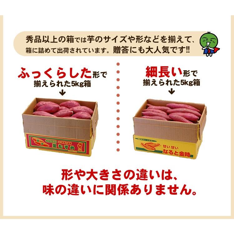 10％OFF！さつまいも なると金時 5kg 秀品 箱入 徳島県鳴門市大津町産 国産 野菜 送料無料