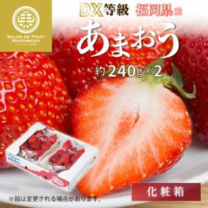 [予約 2024年1月5日-1月30日の納品] あまおう 約 240g×2 DX または G 福岡県産 高品位 いちご