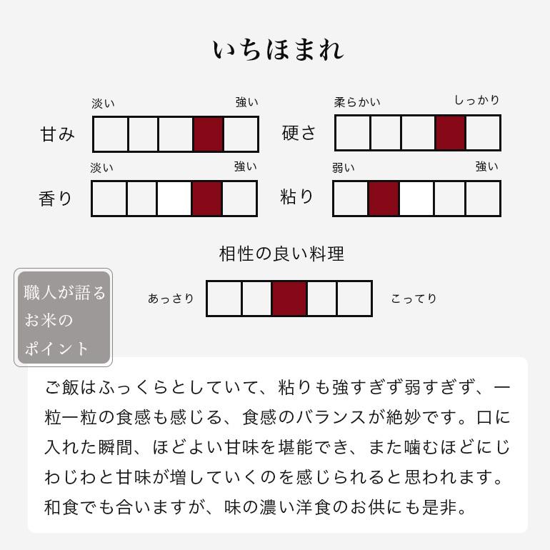 いちほまれ 米 5kg 送料無料 福井県産 一宮精米 令和5年産