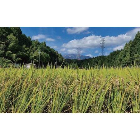 ふるさと納税 令和5年産 関ケ原町中挾地区限定米 コシヒカリ 精米 3kg 白米 岐阜県関ケ原町