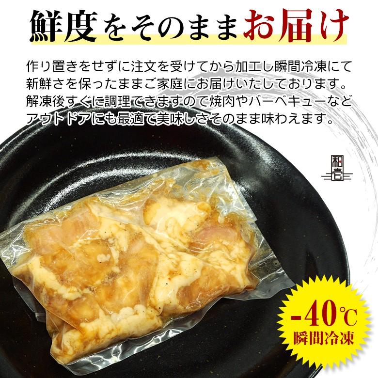 秘伝の味噌タレてっちゃん 味噌ダレ てっちゃん ホルモン 味付けホルモン 焼肉 炭火焼き 200g  焼肉 BBQ バーベキュー ギフト