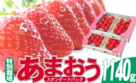 いちご 2023年12月より発送 うるう農園のあまおう スタンダード4パック 約1.14kg※配送不可：離島