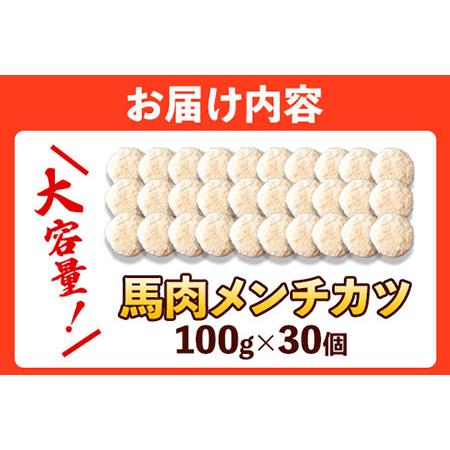 ふるさと納税 馬肉メンチカツ 100g×30個 計3kg 千興ファーム 馬肉 冷凍 《60日以内に順次出荷(土日祝除く)》ジューシー　揚げ物 肉 熊本県.. 熊本県御船町