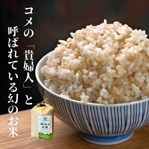 ササニシキの親　農薬不使用のササシグレ「郷山のお米」4kg（2kg×2袋）（玄米）