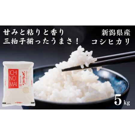 ふるさと納税 令和5年産新米！ 新潟県産コシヒカリ「いちのまい」5kg 米・食味鑑定士お墨付き 新米 精米したてを発送 こしひかり 糸魚川 白米 新潟県糸魚川市