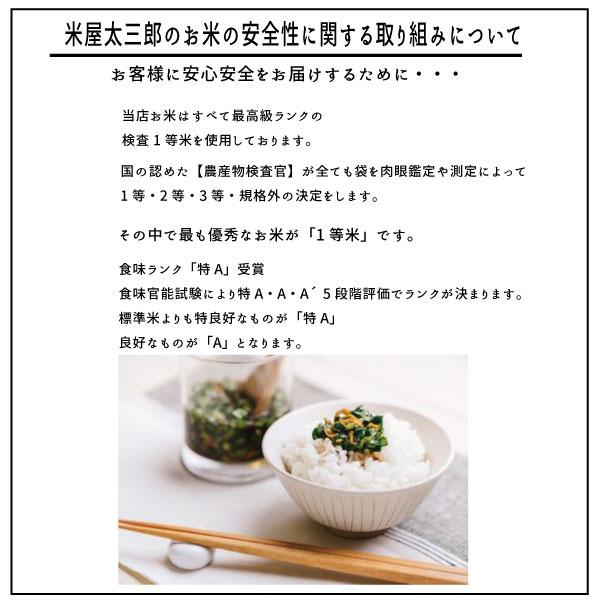 米 お米 玄米  新米 ミルキークイーン 玄米25kg 令和5年度福島県産