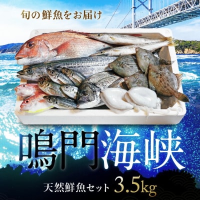 鳴門海峡 冷凍鮮魚 セット 3.5kg (魚種:4～5種)