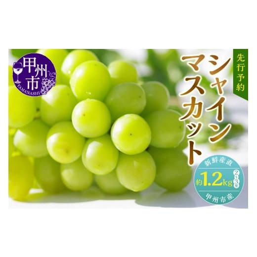 ふるさと納税 山梨県 甲州市 新鮮産直甲州市！シャインマスカット1.2kg2〜3房（KSF）B12-170