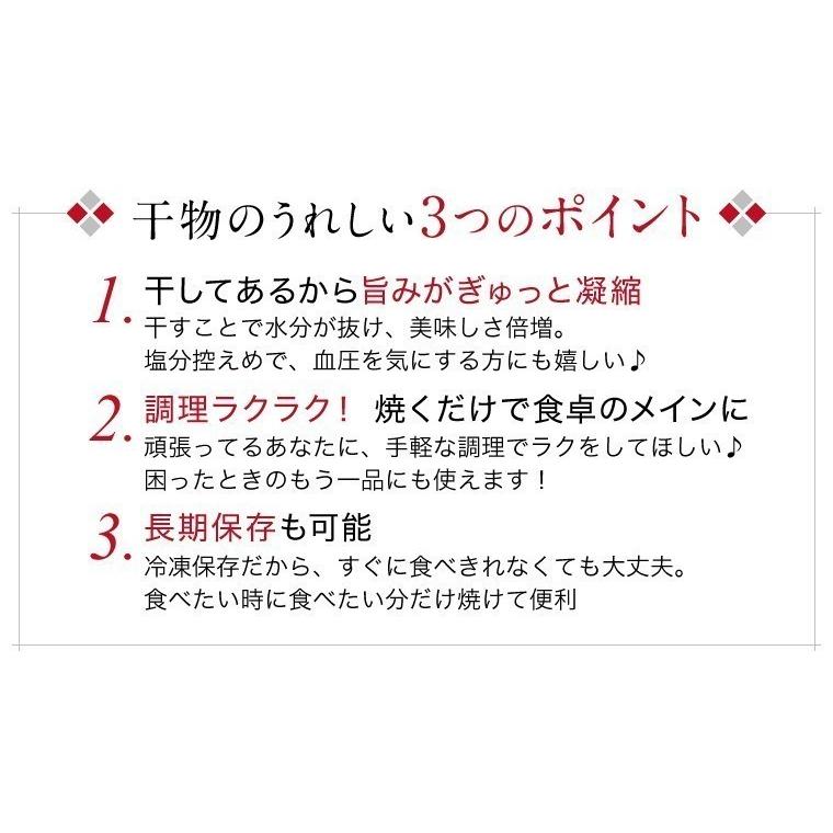 特大 サバ 干物 1尾×10パック 巨大 キング さば 鯖 干物セット 真空パック 一夜干し 一夜干し魚 一夜干しセット ((冷凍))