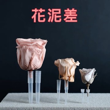BJ商城🇹🇼花泥插 插花神器 花泥固定器 不凋花 乾燥花專用 永生花 專用花泥 花藝師專用