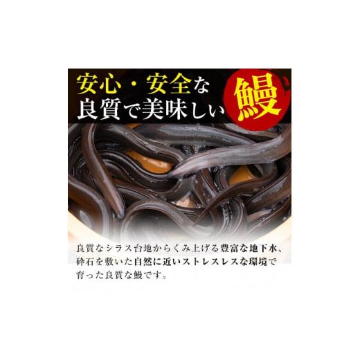 ふるさと納税 鹿児島県 志布志市 鹿児島県産うなぎ蒲焼 名水慈鰻 6尾(1尾140g以上)＜計840g以上＞ c3-019