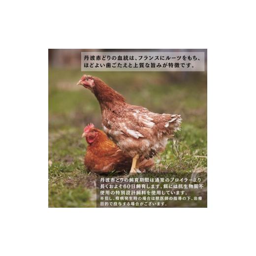 ふるさと納税 京都府 亀岡市 丹波 赤どり 手羽先 3.5kg（500g×7パック）＜京都亀岡丹波山本＞業務用 鶏肉 冷凍 小分け