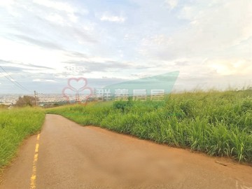 黑森林保護區｜台中市沙鹿區竹林東段