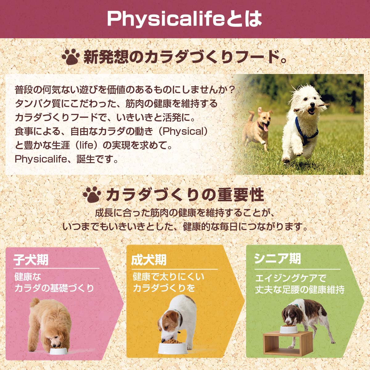 おまけ付きフィジカライフ Physicalife 成犬用 ビーフ＆大豆入り 2kg 2